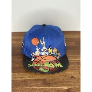 Looney Tunes Space Jam Embroidered Hat Cap Snapback Blue Adult Flat Brim